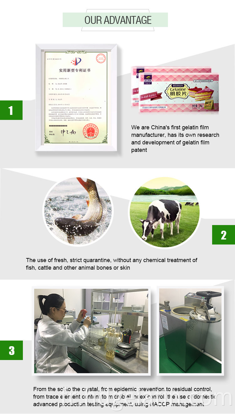Échantillon gratuit de gélatine chinoise 150 Bloom Halal Food Grade Bovine Gelatine Powder